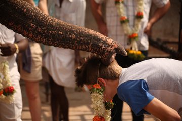 Elephant Blessing Elephant Blessing