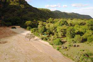 Elephant Visitors To Manyara Green Camp