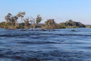 Elephants Crossing The Zambezi Thorntree River Lodge