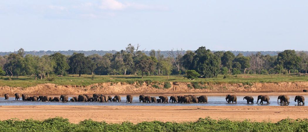 Elephants Crossing The River By Chilo Gorge Tented Camp