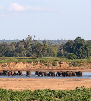 Elephants Crossing The River By Chilo Gorge Tented Camp Elephants Crossing The River By Chilo Gorge Tented Camp