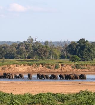 Elephants Crossing The River By Chilo Gorge Tented Camp