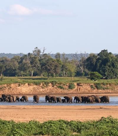 Elephants Crossing The River By Chilo Gorge Tented Camp