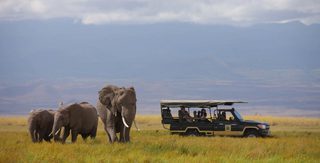 Elewana Tortilis Camp Amboseli 1