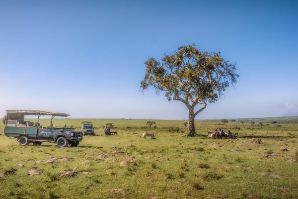 Elewana bush breakfast Elewana bush breakfast