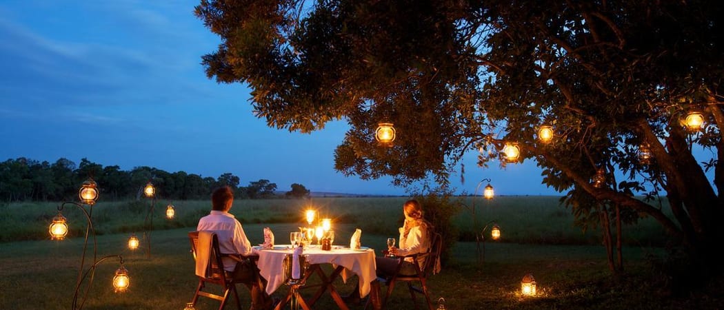 Elewana elephant pepper dinner