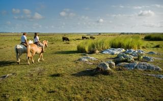 Estancia Vik horse riding Uruguay Estancia Vik horse riding Uruguay
