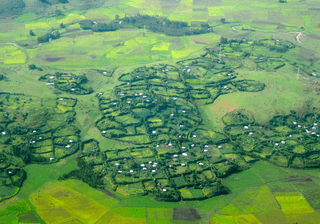 Ethiopia Canva Pro Ethiopia Canva Pro