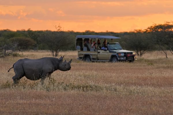 Etosha game drive 2 Etosha game drive 2