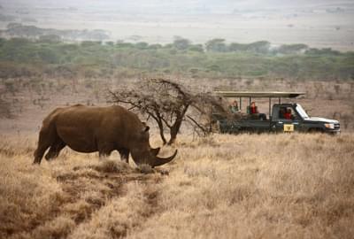 Explorers Safari Kenya