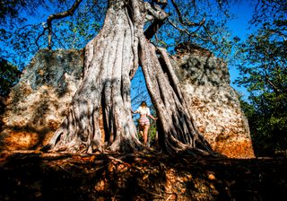 Exploring The Gedi Ruins Near Watamu