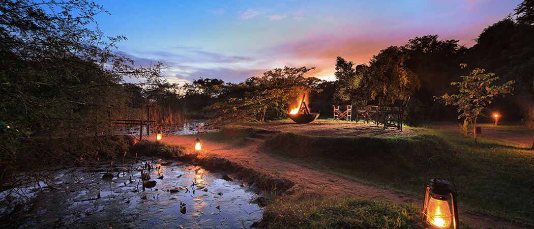 Ext1 Leopard Trails Wilpattu Sri Lanka Website