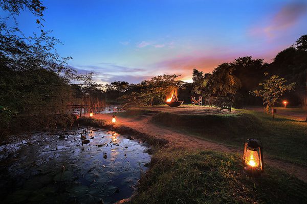 Ext1 Leopard Trails Wilpattu Sri Lanka Website Ext1 Leopard Trails Wilpattu Sri Lanka Website