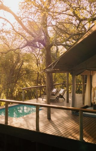 External view of Luxury Tented Suite External view of Luxury Tented Suite