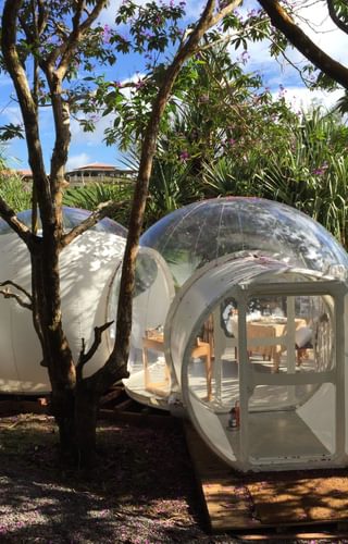 Family Suite Bubble Lodge Mauritius Family Suite Bubble Lodge Mauritius