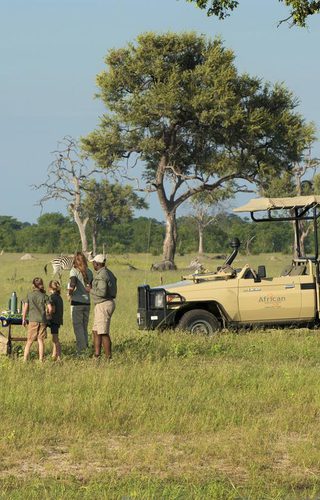 Family Outing Somalisa Acacia Family Outing Somalisa Acacia