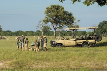 Family Outing Somalisa Acacia Family Outing Somalisa Acacia