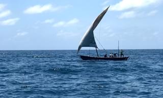 Fanjobve Island Dhow