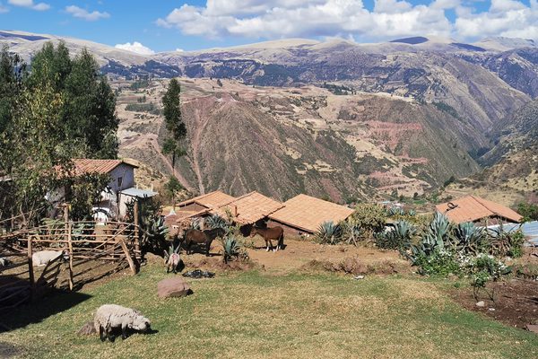 Farm at Quechua Community Amantani Peru Farm at Quechua Community Amantani Peru