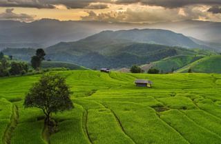 Fields near Chiang Mai Thailand Fields near Chiang Mai Thailand