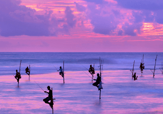 Fishermen on stilts in silhouette at the sunset in Galle Sri Lanka Canva Pro Fishermen on stilts in silhouette at the sunset in Galle Sri Lanka Canva Pro
