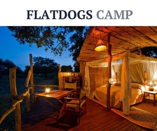 Flatdog Camp Flatdog Camp