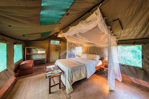 Flatdogs Tent Interior Flatdogs Tent Interior