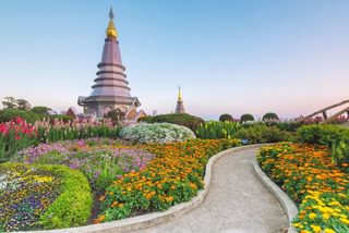 Flowers at atemple in Chiang Mai Thailand Flowers at atemple in Chiang Mai Thailand