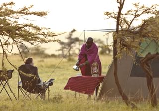 Flycamp Morning Tea At Tent Flycamp Morning Tea At Tent
