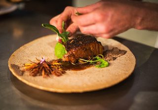 Foliage Food Foliage Food