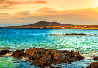 Galapagos Canva Pro Galapagos Canva Pro