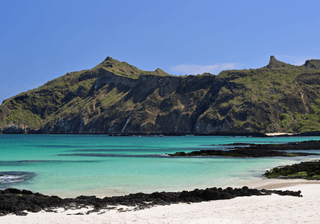 Galapagos coastline Canva Pro Galapagos coastline Canva Pro