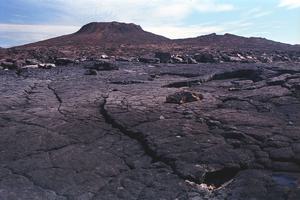 Galapagos First Class Day 4