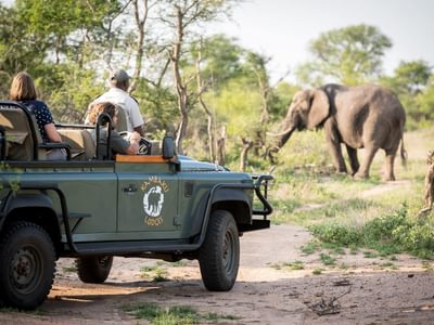 Game Drive Kambaku River Sands Kruger South Africa 2 min Game Drive Kambaku River Sands Kruger South Africa 2 min