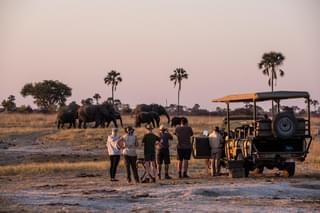 Game Drive At The Hide