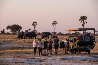 Game Drive At The Hide Game Drive At The Hide