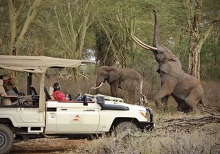 Game Drive