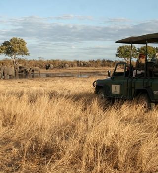 Game Drive Camp Hwange Copy Game Drive Camp Hwange Copy