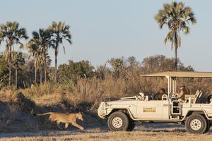 Game Drive From Xigera Game Drive From Xigera