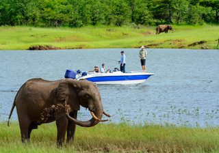 Game Viewing Mv Matusadona