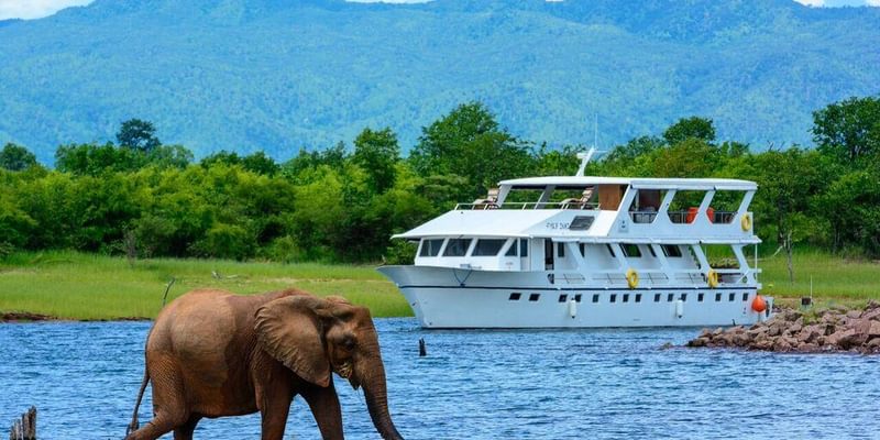 Game Viewing Matusadona Game Viewing Matusadona