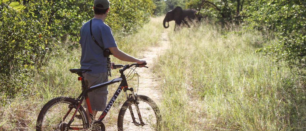 Game Viewing On Bikes  Jozibanini
