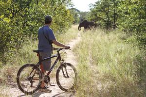 Game Viewing On Bikes  Jozibanini