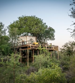 Garonga Sleep Out Platform Garonga Sleep Out Platform