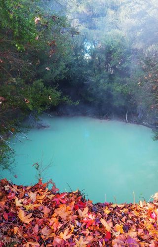 Geothermal zone Rotorua New Zealand Canva Pro