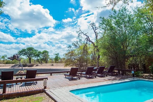 Gomo Gomo Game Lodge Kruger South Africa Gomo Gomo Game Lodge Kruger South Africa