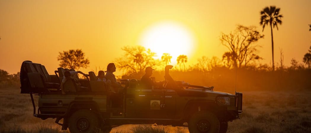 Gomoti Plains Sunset Game Drive