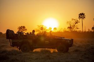 Gomoti Plains Sunset Game Drive