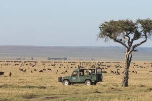 Governors Camp Migration Safari Governors Camp Migration Safari