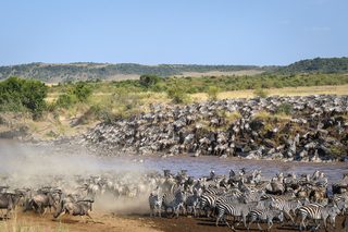 Governors Private Camp Great Migration